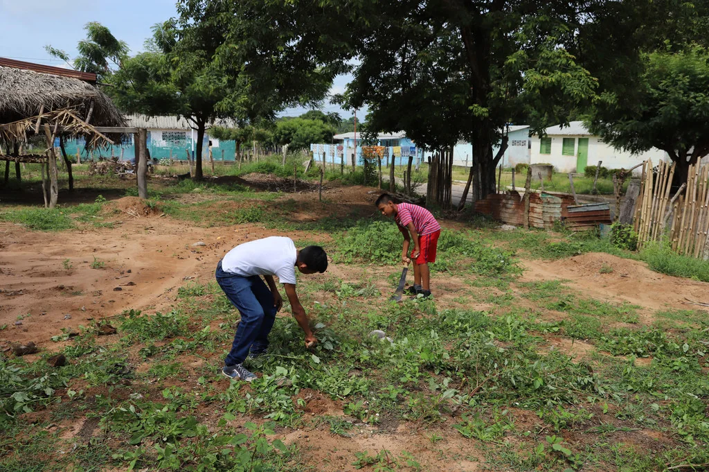 Jóvenes de Río Negro trabajando en su parcela.