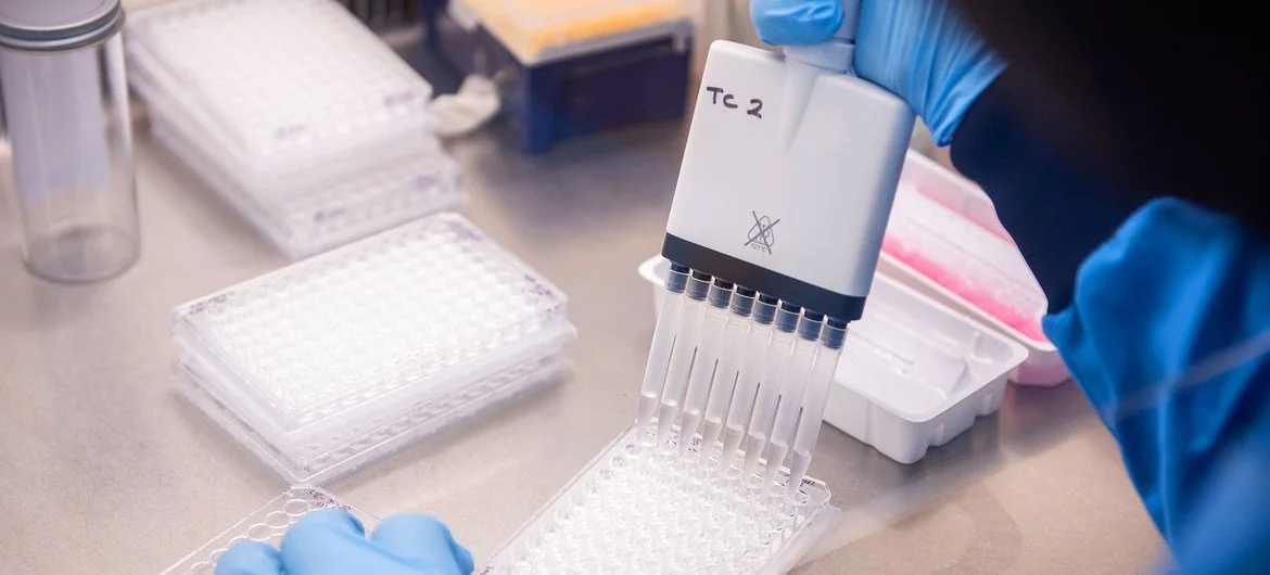 Los científicos del Instituto Jenner de la Universidad de Oxford trabajando en el desarrollo de una vacuna contra el coronavirus.