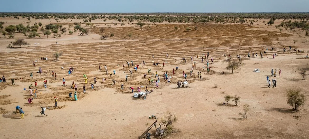 Las comunidades agrícolas de Senegal restauran tierras degradadas para contrarrestar los efectos del cambio climático.
