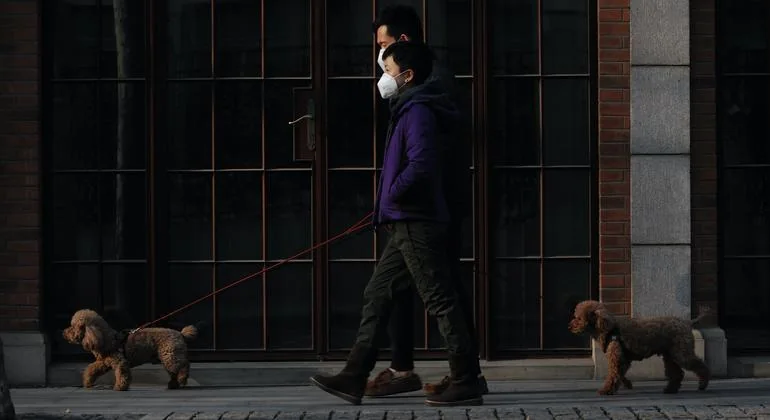 Dos peatones paseando a sus perros en la ciudad china de Shanghai durante la pandemia de COVID-19. (Foto de archivo)