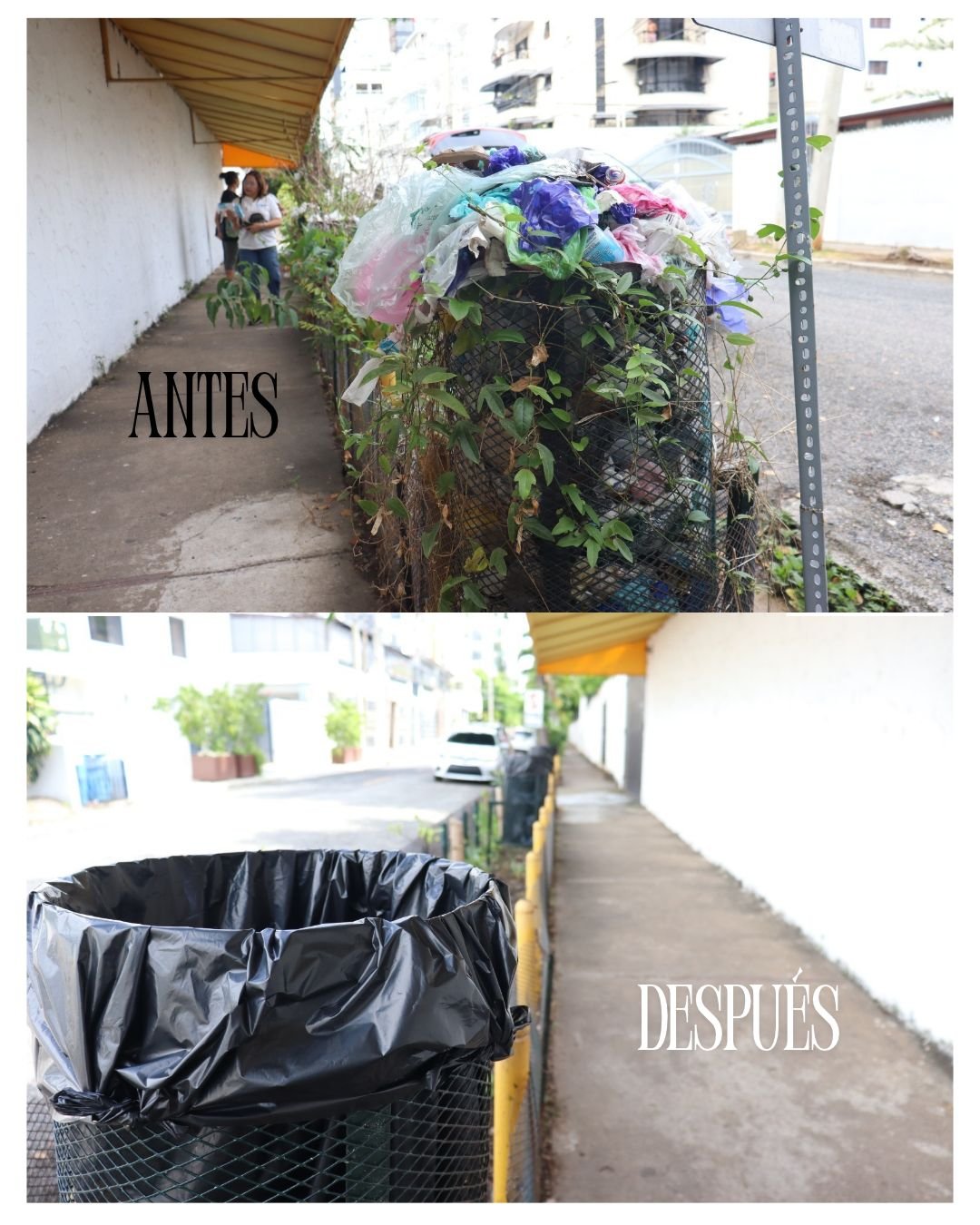 ANTES (1).jpg