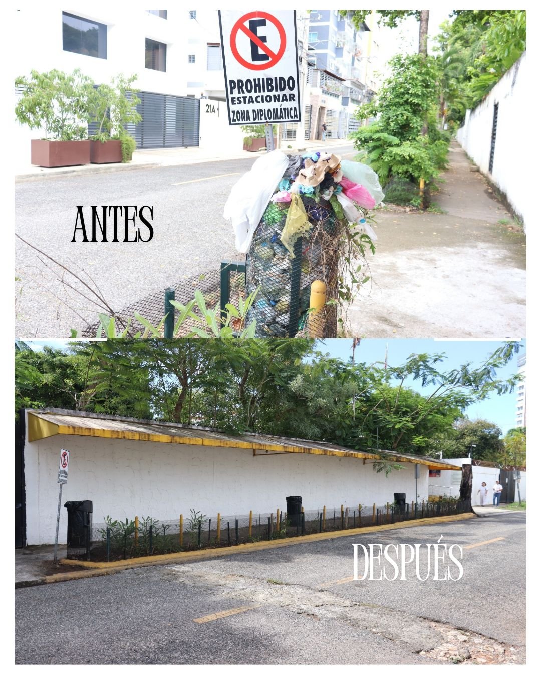 ANTES.jpg